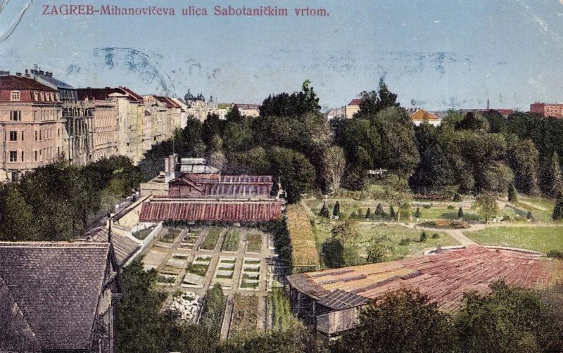 Botanički vrt, Mihanovićeva ulica, 1917. godine